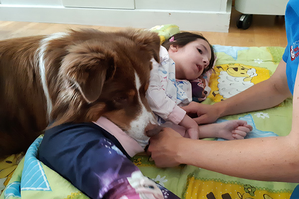 Tiergestützte Therapie, Therapiehund für schwer erkrankte Kinder