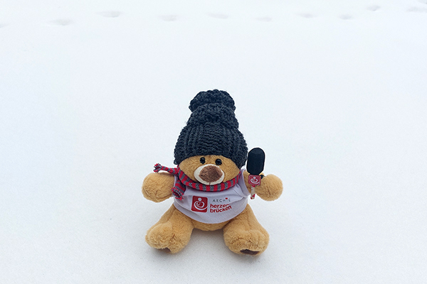 Archieblog Archie im Schnee