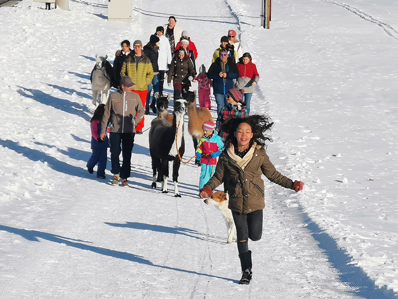 Lamausflug Arche Herzensbrücken Winterwochen 2023 Herzkinder Österreich